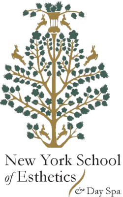 Secondary Logo